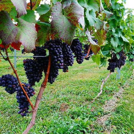Nakafurano Winery Hotel And Condominium Hitohana מראה חיצוני תמונה