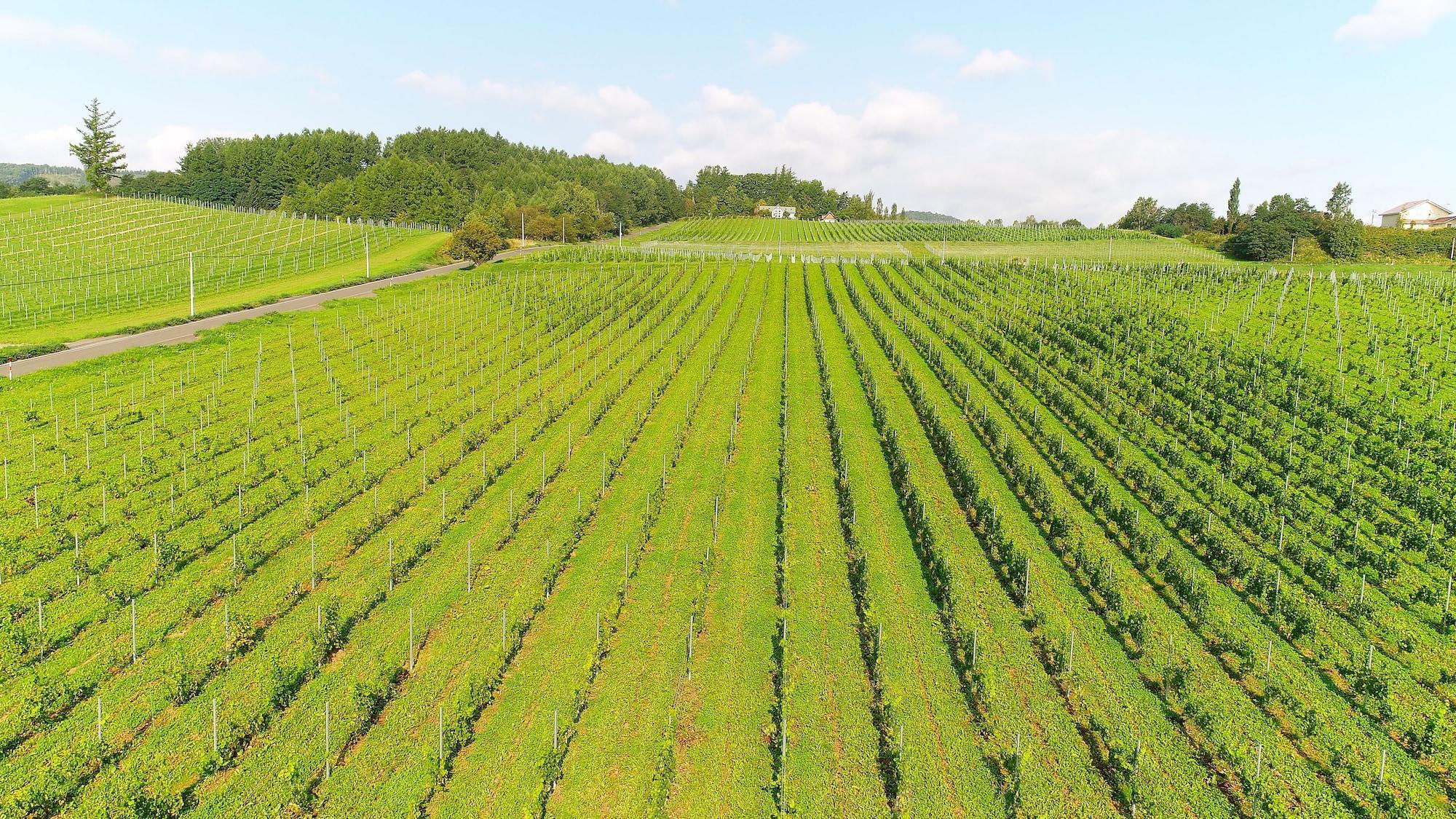 Nakafurano Winery Hotel And Condominium Hitohana מראה חיצוני תמונה